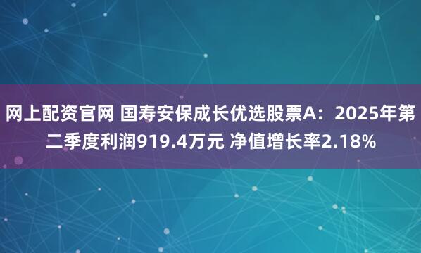 网上配资官网 国寿安保成长优选股票A：2025年第二季度利润919.4万元 净值增长率2.18%