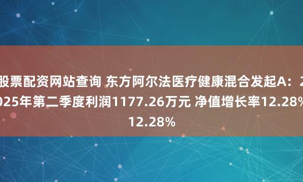 股票配资网站查询 东方阿尔法医疗健康混合发起A：2025年第二季度利润1177.26万元 净值增长率12.28%